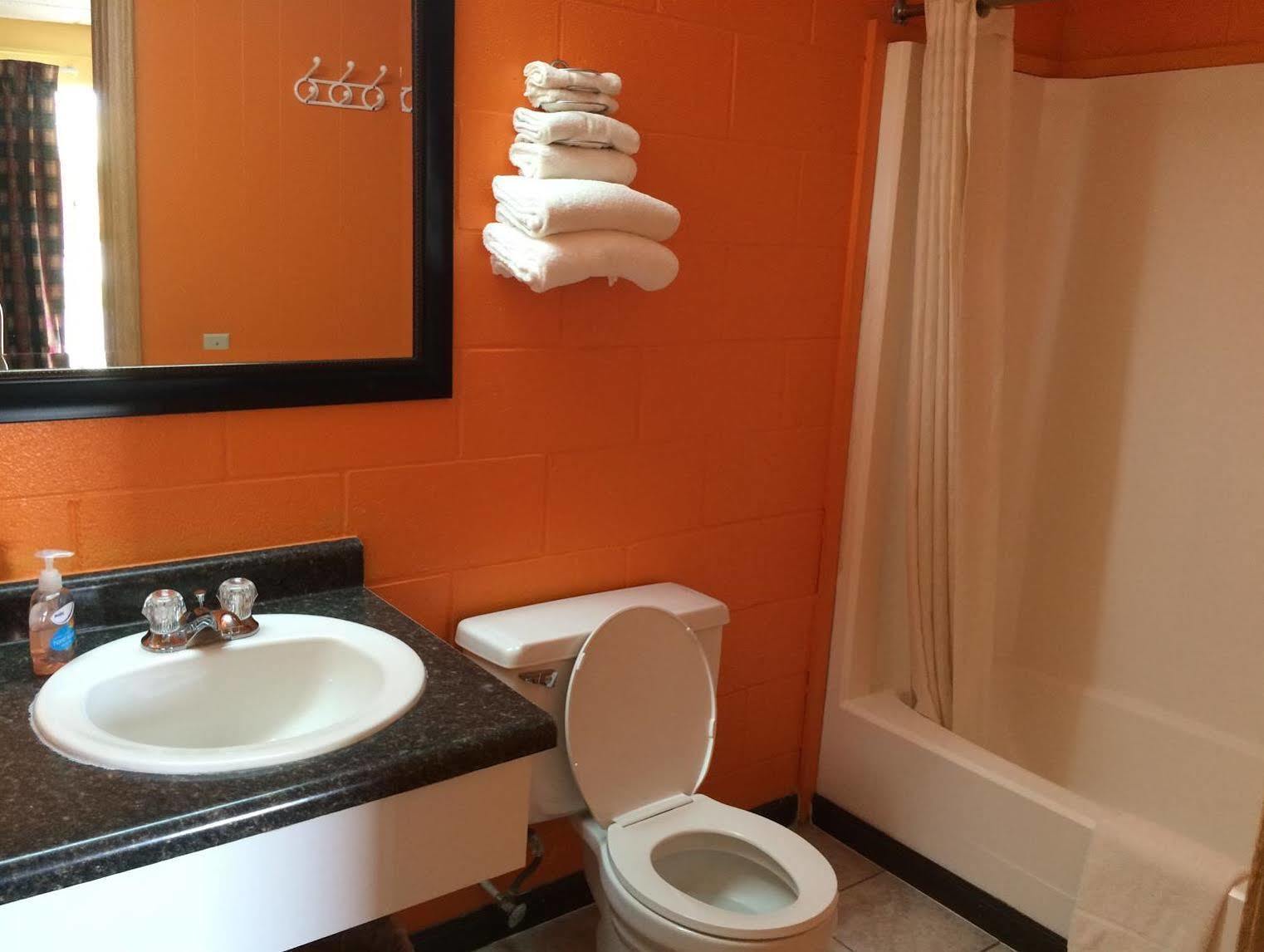 Sleep-Ees Inn, Saginaw & Frankenmuth エクステリア 写真